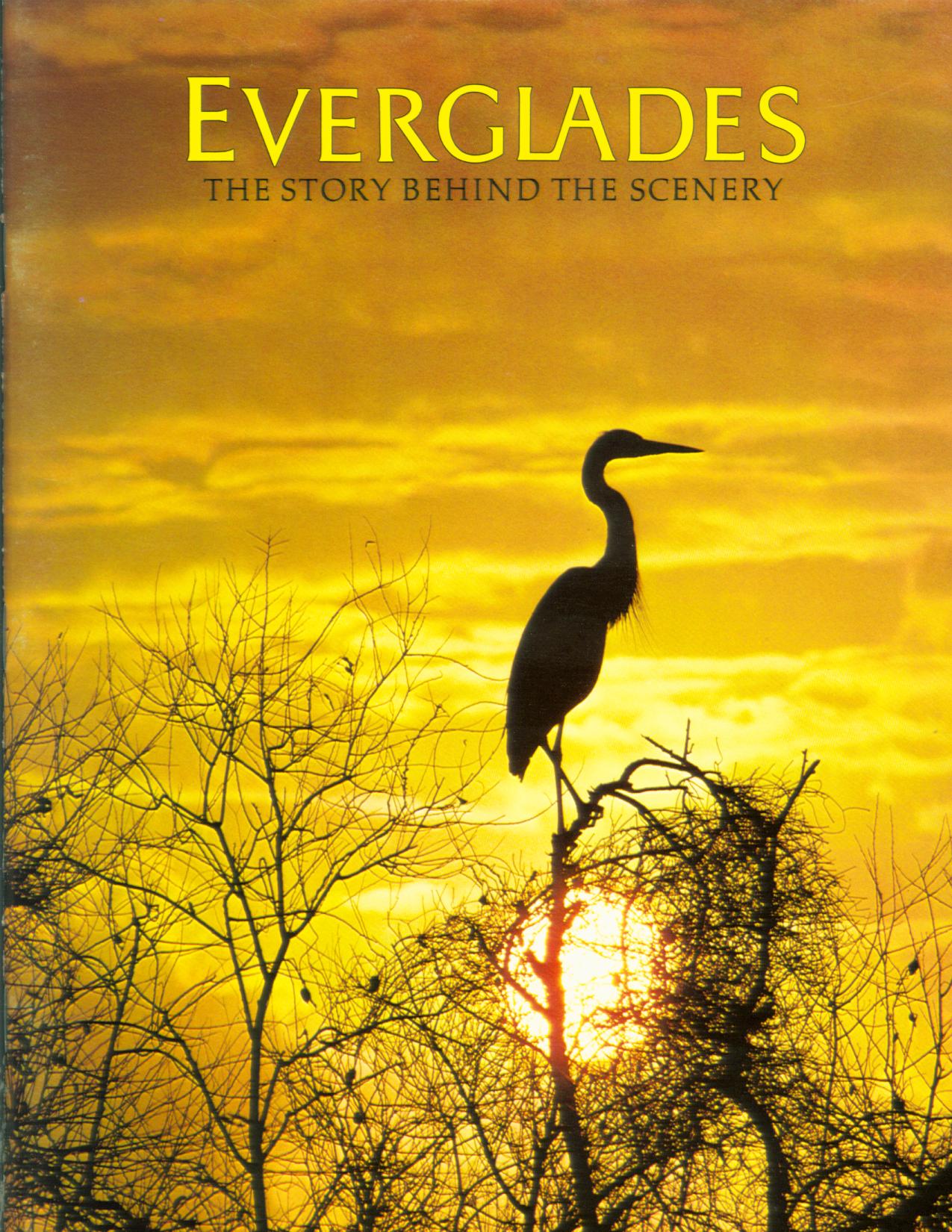 EVERGLADES: the story behind the scenery (FL).